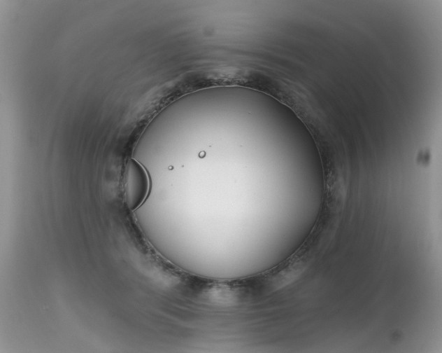X0000112540416200908311451