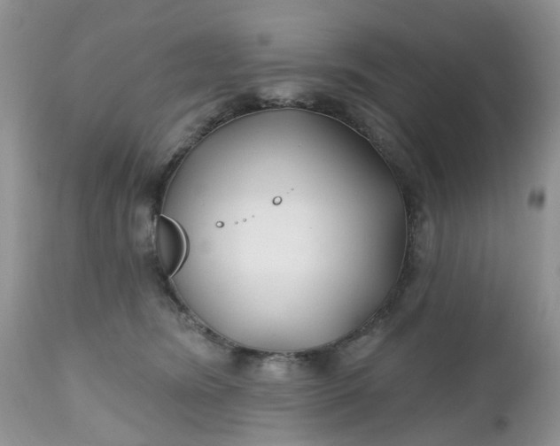 X0000112540420200908311451