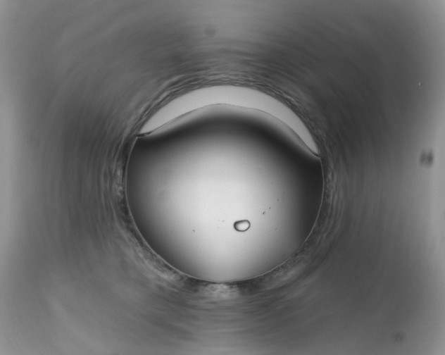 X0000112540421200908311451