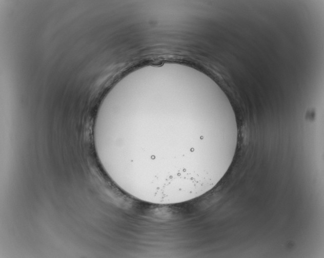 X0000112540423200908311451