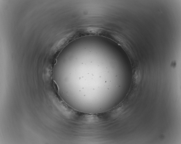 X0000112540424200908311451