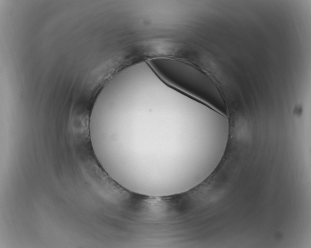 X0000112540425200908311451