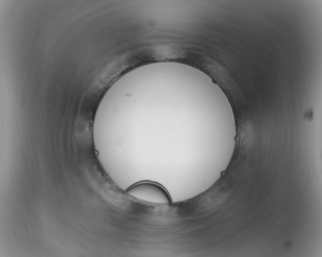 X0000112540426200908311451