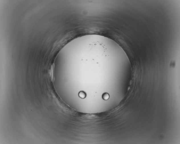 X0000112540427200908311451