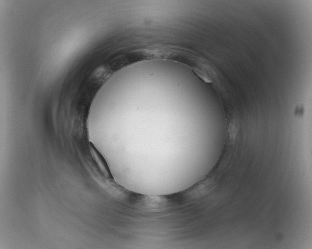 X0000112540429200908311451