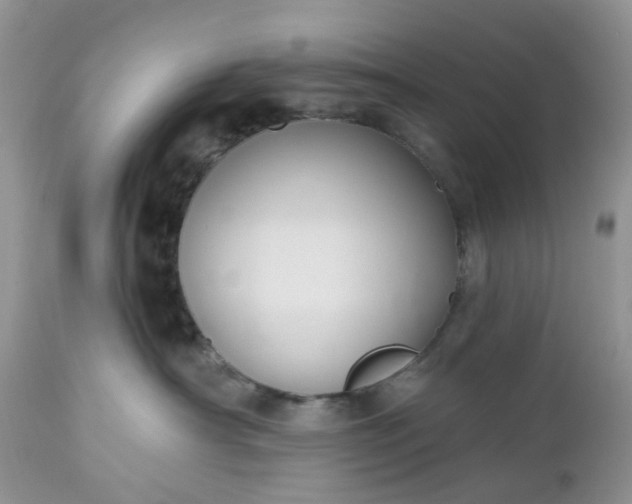 X0000112540430200908311451