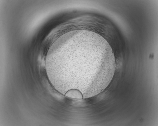 X0000112540431200908311451