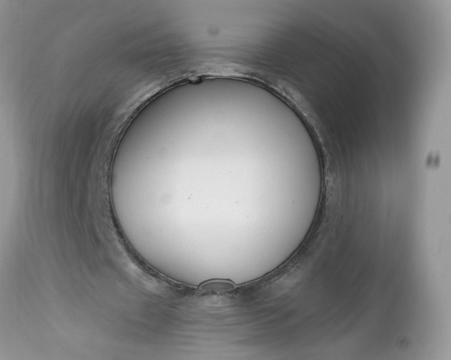 X0000112540433200908311450