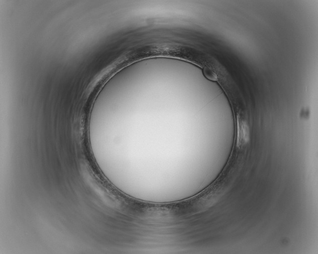 X0000112540435200908311450