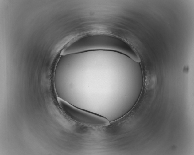 X0000112540436200908311450