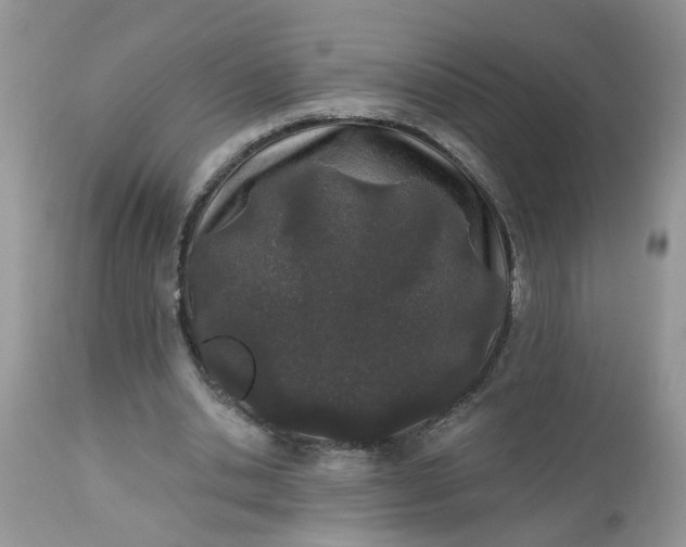 X0000112540438200908311450