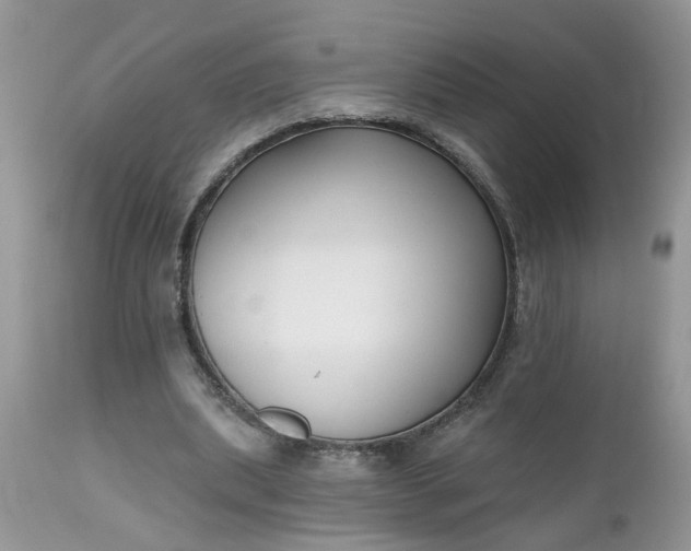X0000112540439200908311450
