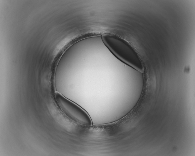 X0000112540440200908311450