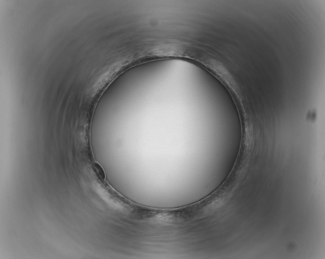 X0000112540441200908311450