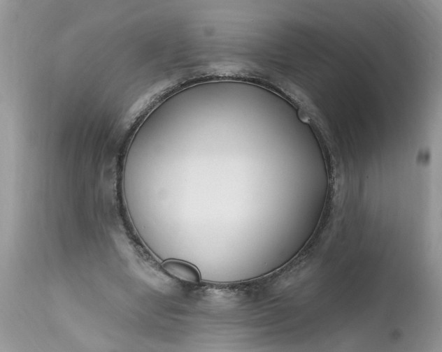 X0000112540442200908311450
