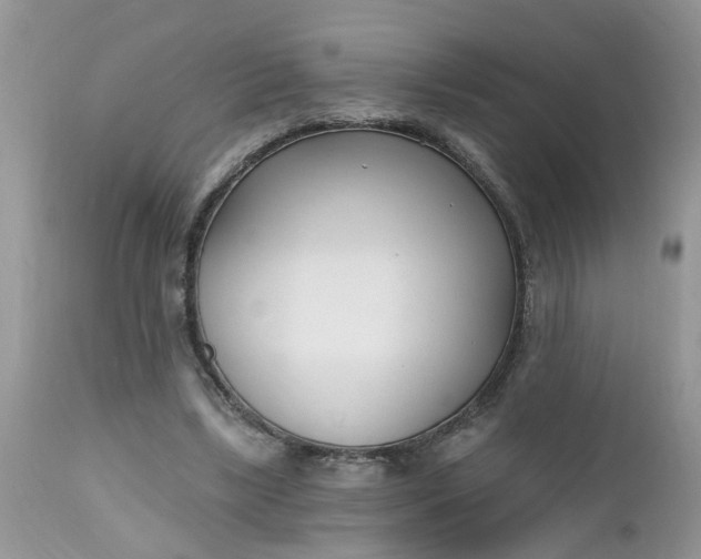 X0000112540443200908311450