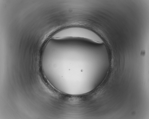 X0000112540444200908311450