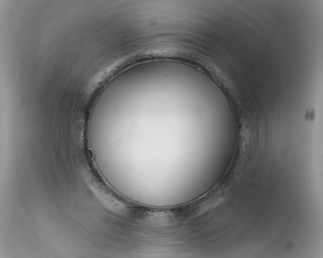 X0000112540446200908311450