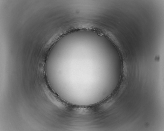 X0000112540449200908311450