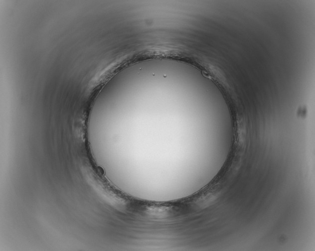 X0000112540450200908311450