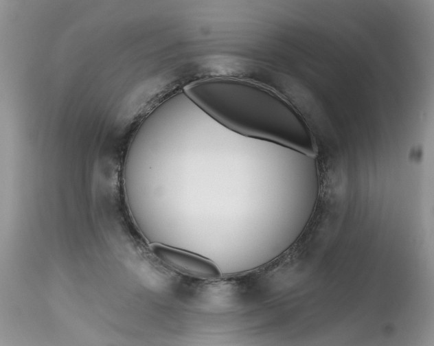 X0000112540456200908311450