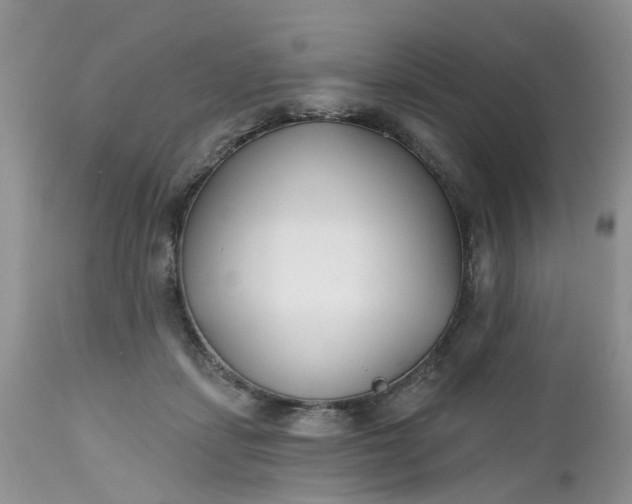 X0000112540459200908311450