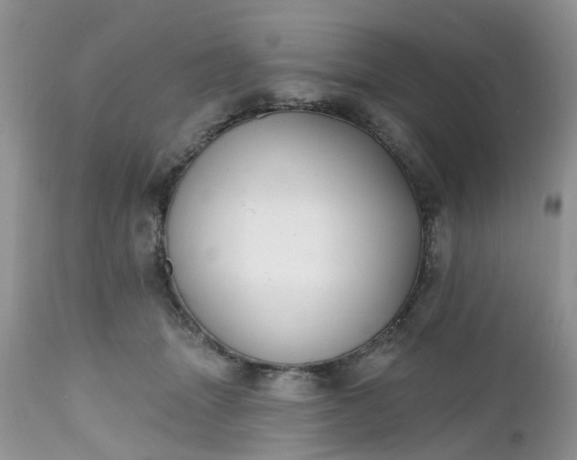 X0000112540463200908311450
