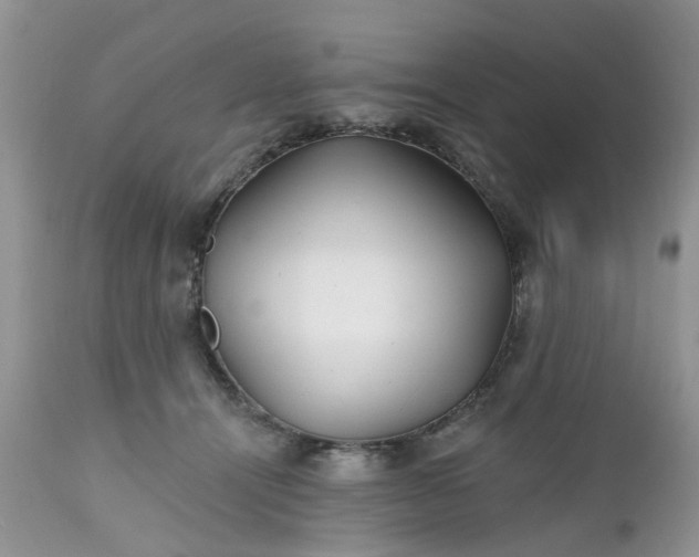 X0000112540464200908311450