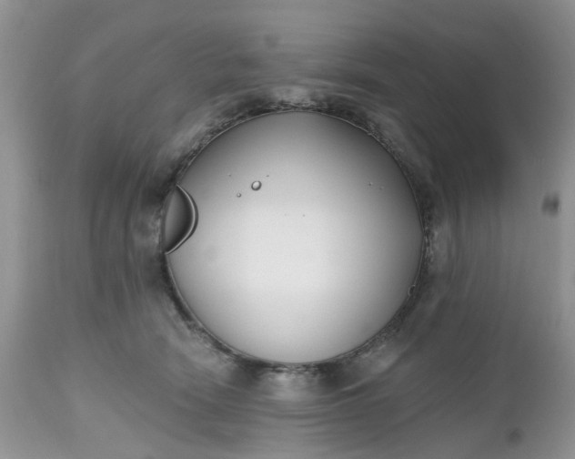 X0000112540466200908311450
