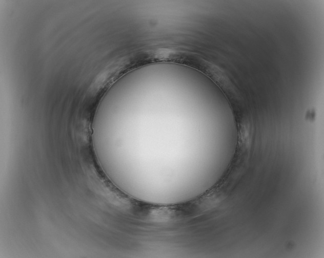X0000112540470200908311451