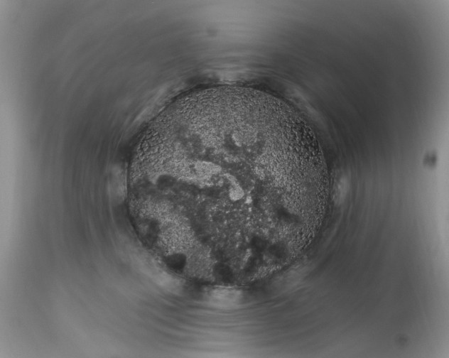 X0000112540471200908311451