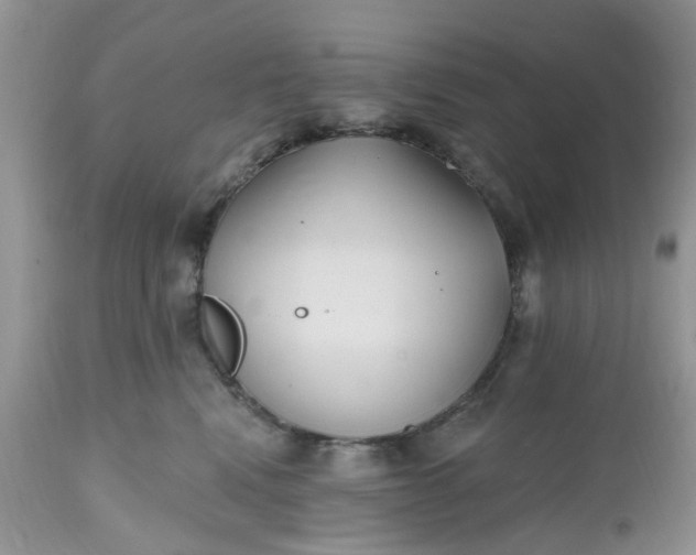 X0000112540472200908311451