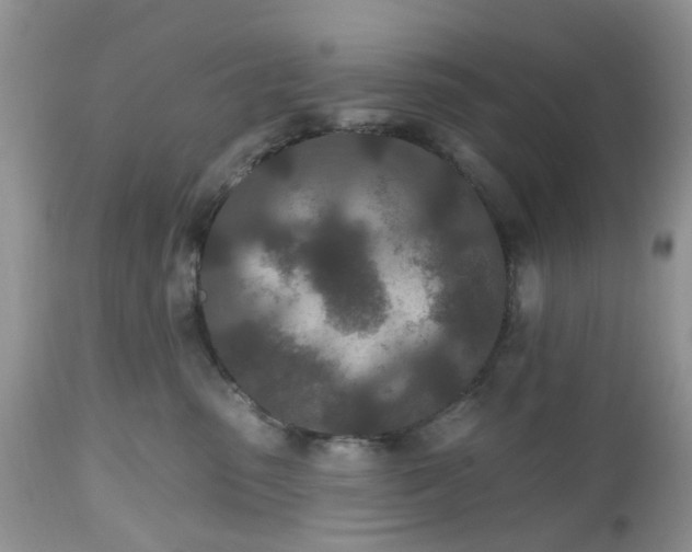X0000112540475200908311451