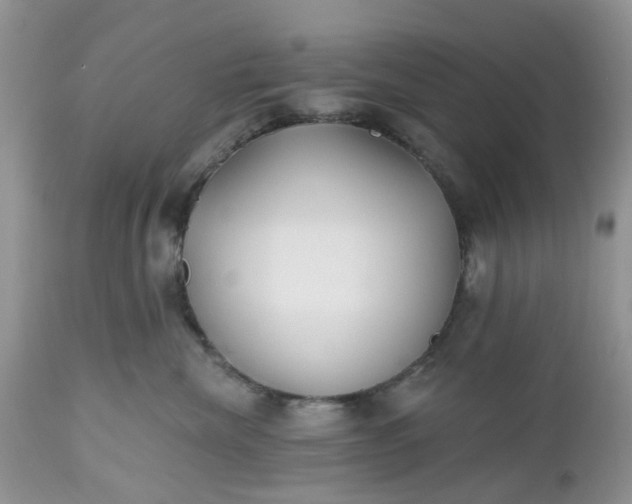 X0000112540476200908311451