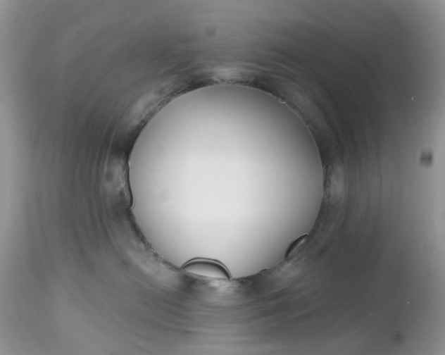 X0000112540478200908311451