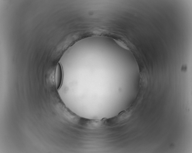 X0000112540479200908311451