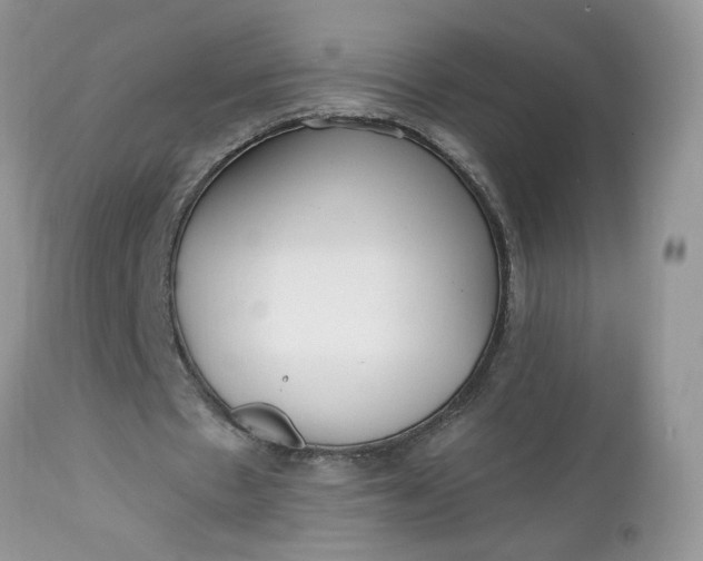X0000112540481200908311450
