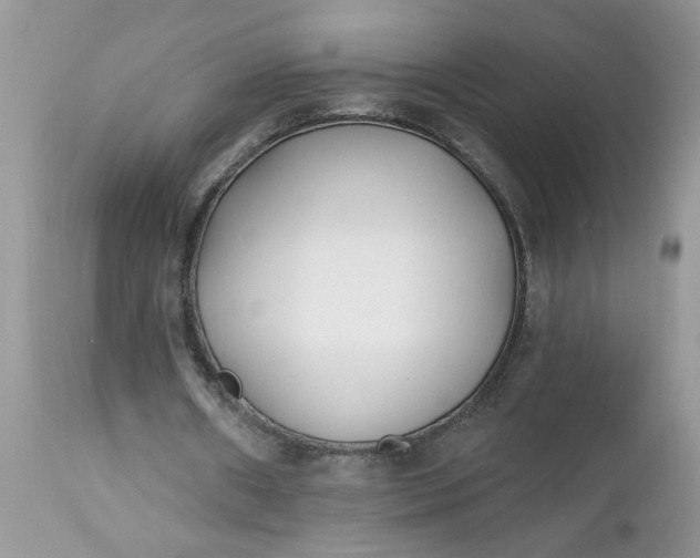 X0000112540482200908311450