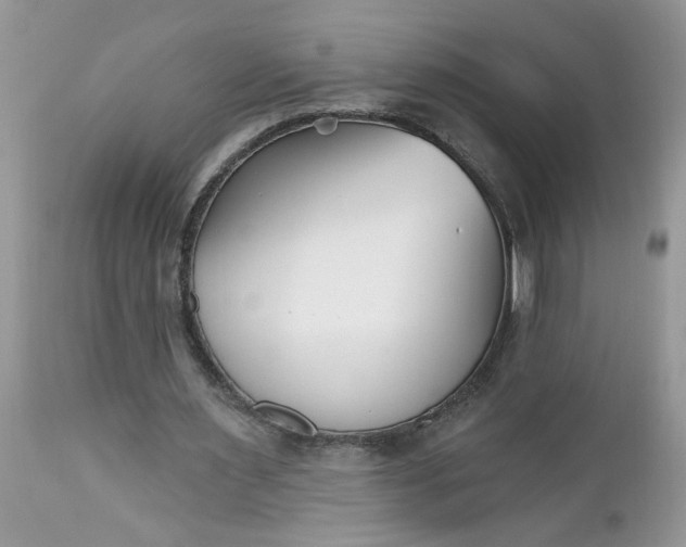 X0000112540483200908311450