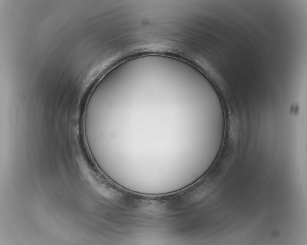 X0000112540486200908311450