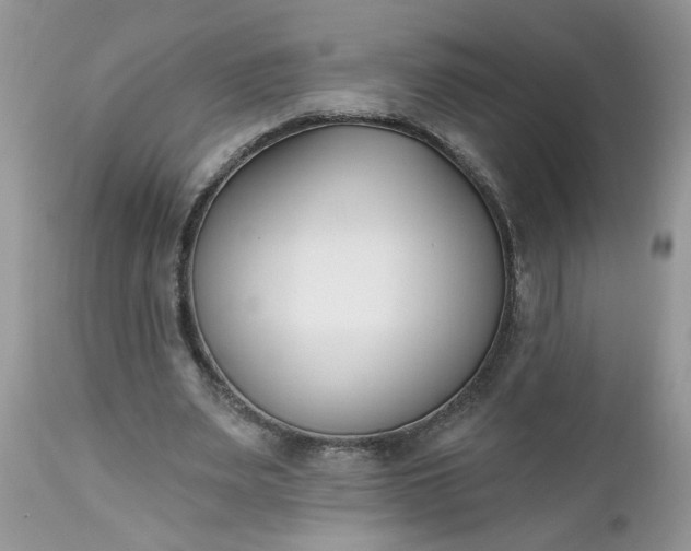 X0000112540487200908311450