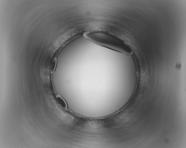 X0000112540489200908311450