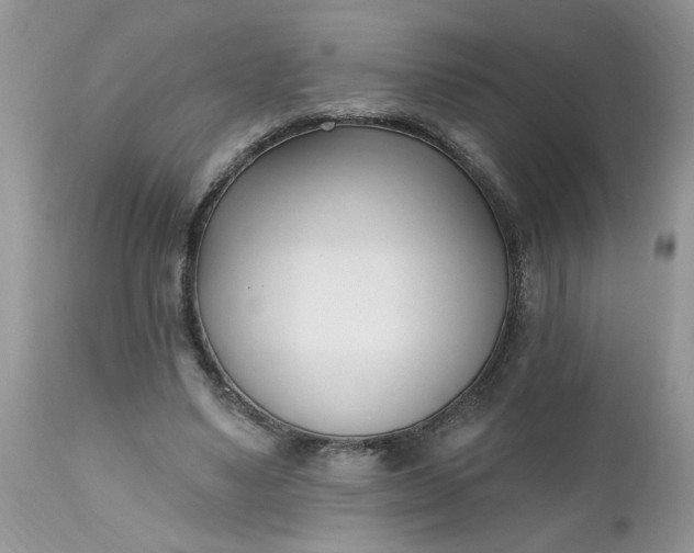 X0000112540491200908311450
