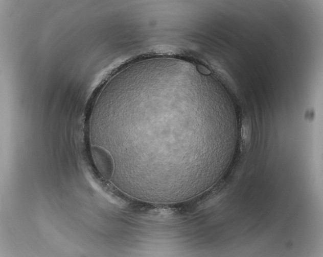 X0000112540492200908311450