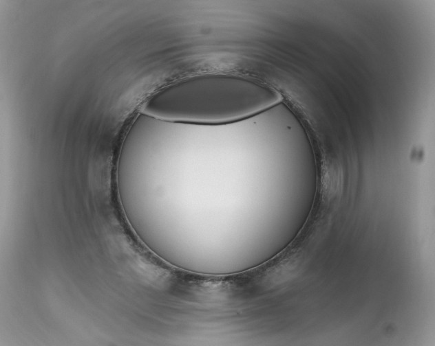 X0000112540493200908311450