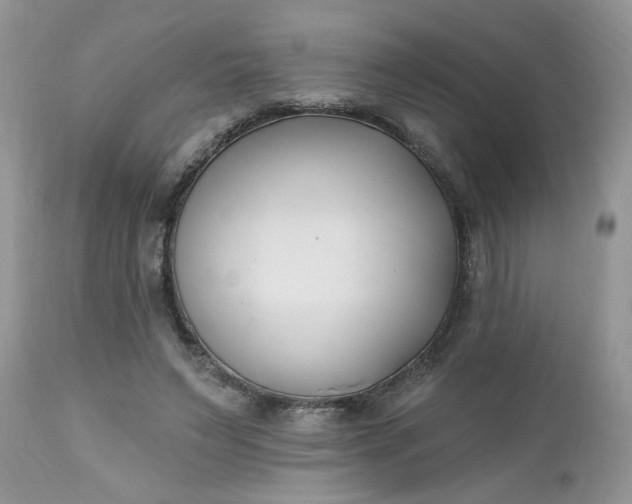 X0000112540495200908311450