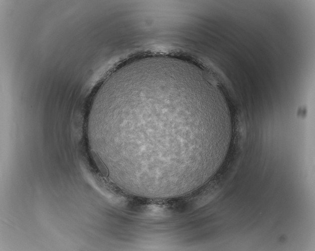 X0000112540496200908311450