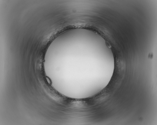 X0000112540499200908311450