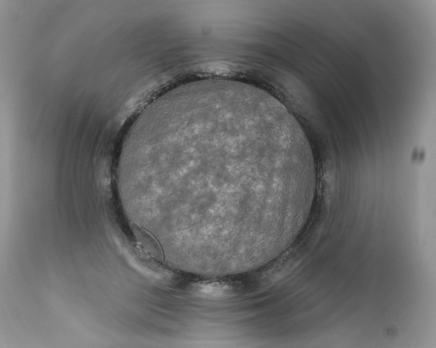 X0000112540500200908311450