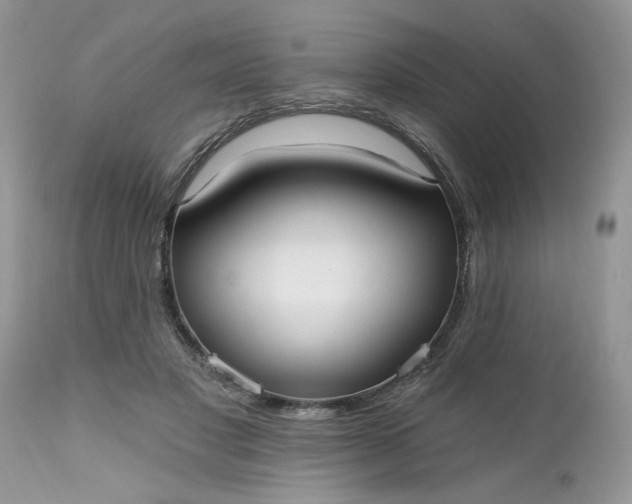 X0000112540501200908311450